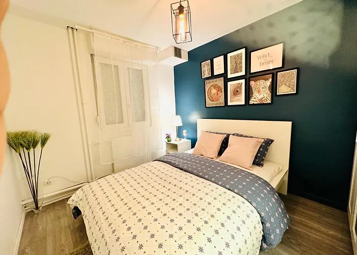 Appartement Cosy Metz Sablons